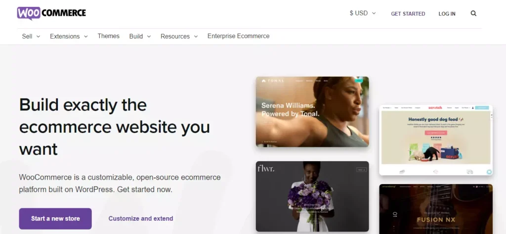 WooCommerce platform - popular choice for successful dropshipping businesses