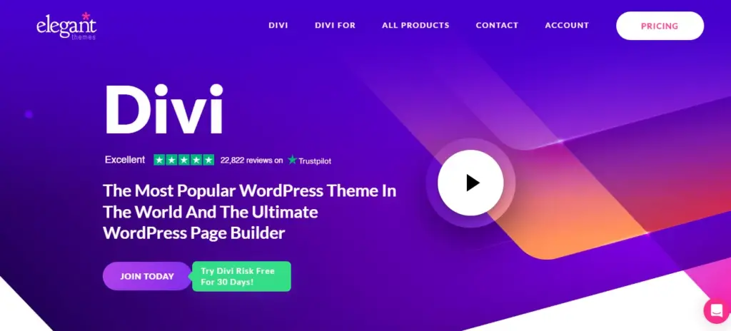 Screenshot showcasing the customizable WordPress Divi theme website 