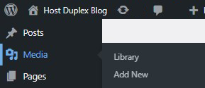Screenshot of the Media Library tool in the WordPress dashboard