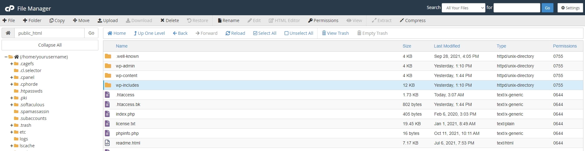 How to check your WordPress version - Host Duplex Knowledgebase