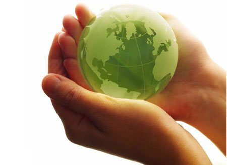Our Dedication to Green: The Steps We Have Taken to Save the Planet